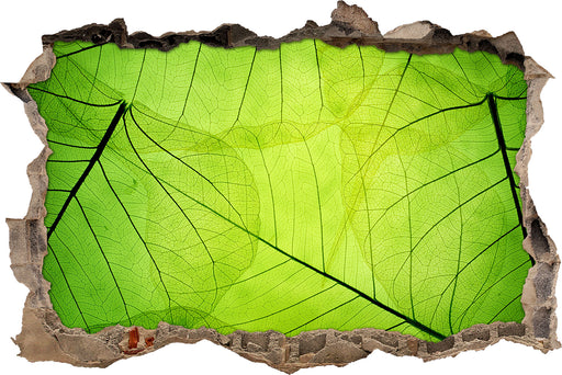 Wunderschöne Zarte grüne Blätter  3D Wandtattoo Wanddurchbruch