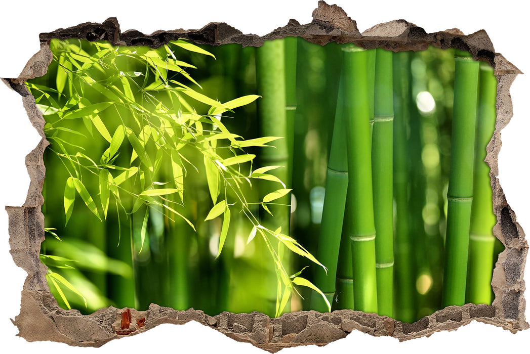 Bambus mit Blättern  3D Wandtattoo Wanddurchbruch