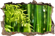 Bambus mit Blättern  3D Wandtattoo Wanddurchbruch
