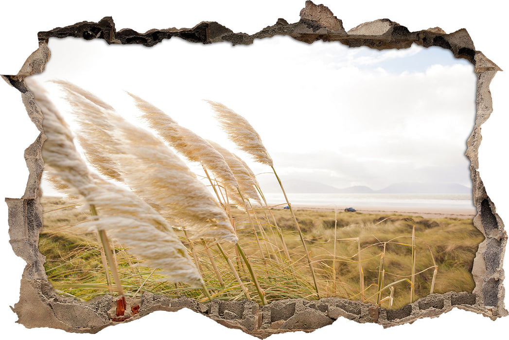 Pixxprint Schönes Schilf in den Dünen, 3D Wandtattoo