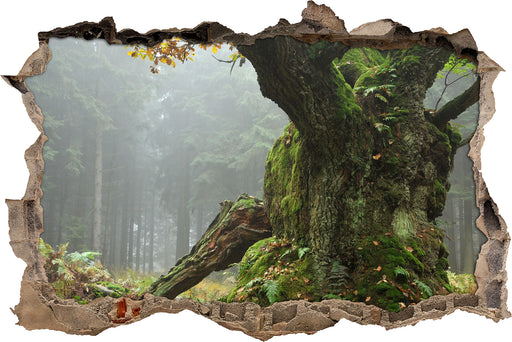 Dicker Baum im Wald im Moos  3D Wandtattoo Wanddurchbruch