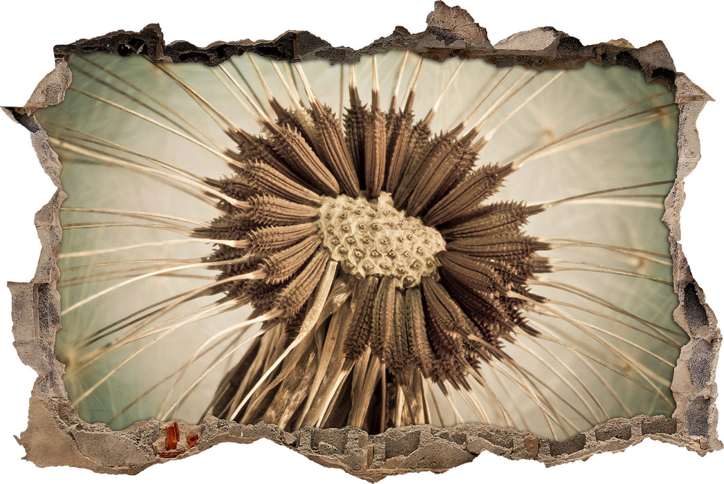 Pixxprint Vertrocknete Pusteblume, 3D Wandtattoo