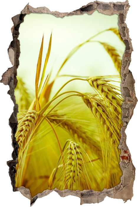 Pixxprint Wunderschönes Getreide, 3D Wandtattoo