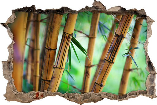 Alter Bambus Wald  3D Wandtattoo Wanddurchbruch