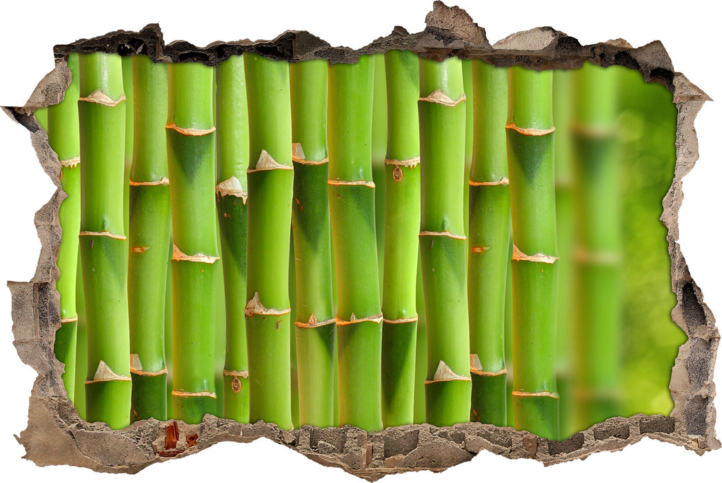 Grüner frischer Bambus  3D Wandtattoo Wanddurchbruch