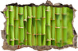 Grüner frischer Bambus  3D Wandtattoo Wanddurchbruch