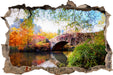 Brücke im Central Park  3D Wandtattoo Wanddurchbruch