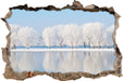 Schneebedeckte Bäume im Winter  3D Wandtattoo Wanddurchbruch