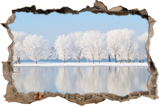 Schneebedeckte Bäume im Winter  3D Wandtattoo Wanddurchbruch