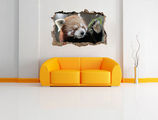 Kleiner Panda sagt Hallo 3D Wandtattoo Wanddurchbruch Wand
