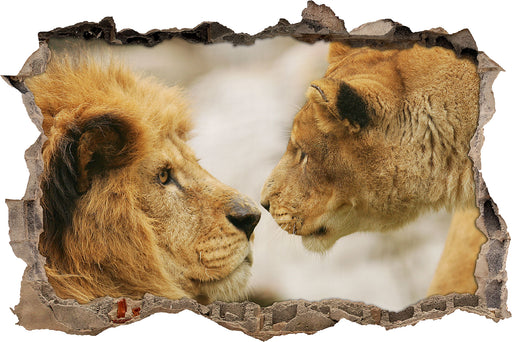 Verliebtes Löwenpaar  3D Wandtattoo Wanddurchbruch