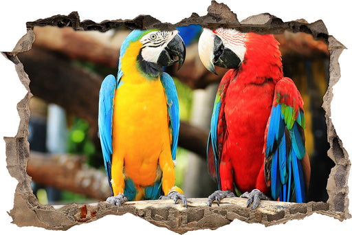 Zwei Papageien auf einem Ast  3D Wandtattoo Wanddurchbruch
