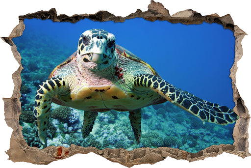 Schildkröte  Korallenriff  3D Wandtattoo Wanddurchbruch