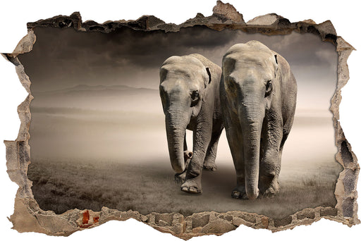 Zwei Elefanten in Steppe  3D Wandtattoo Wanddurchbruch