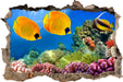 Fische Korallenriff  3D Wandtattoo Wanddurchbruch