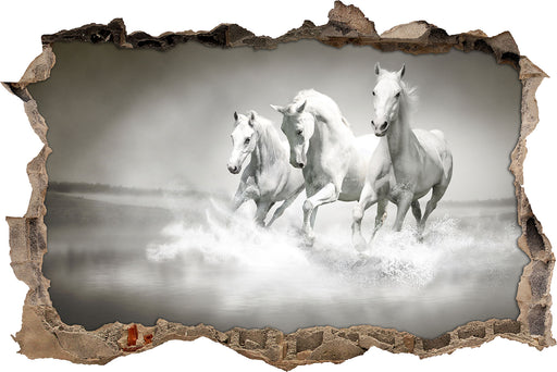 Pferde rennen im Wasser  3D Wandtattoo Wanddurchbruch