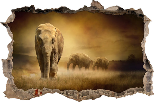 Prächtiger Elefanten in Steppe  3D Wandtattoo Wanddurchbruch