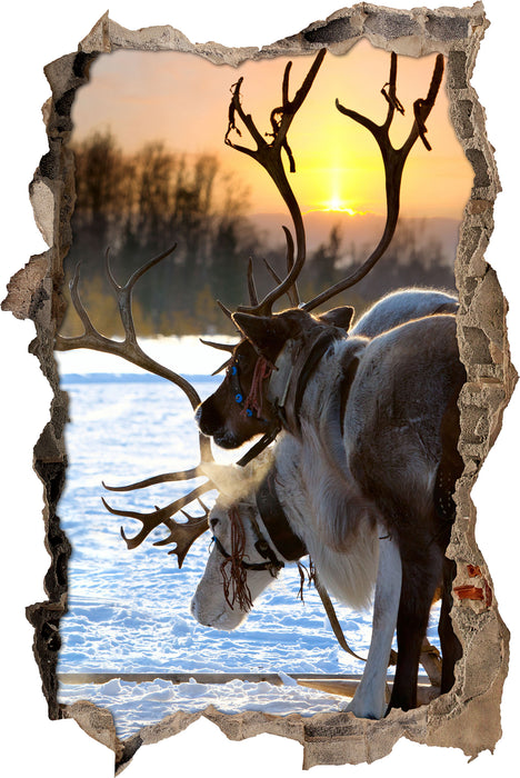 Pixxprint Zwei Rentiere im Schnee, 3D Wandtattoo