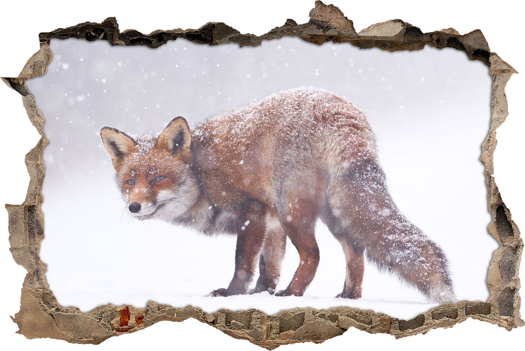 Pixxprint Roter Fuchs im Schneegestöber, 3D Wandtattoo