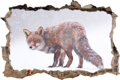 Roter Fuchs im Schneegestöber  3D Wandtattoo Wanddurchbruch