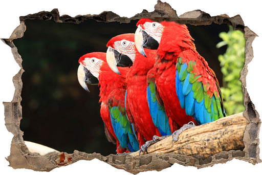 Papageien auf Ast  3D Wandtattoo Wanddurchbruch