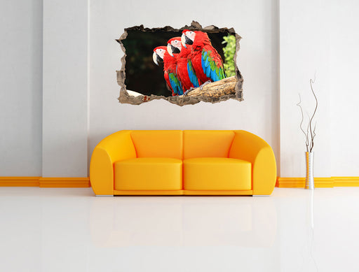 Papageien auf Ast 3D Wandtattoo Wanddurchbruch Wand
