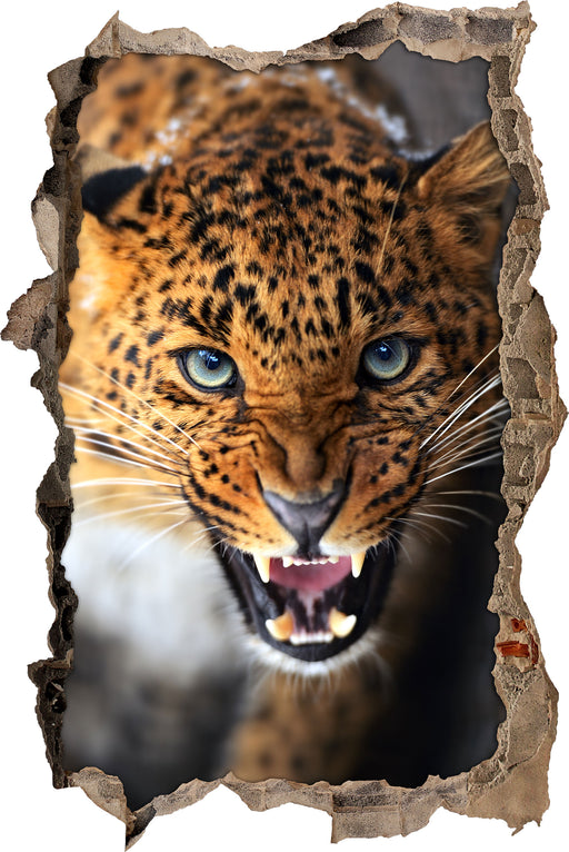 Fauchender Leopard  3D Wandtattoo Wanddurchbruch