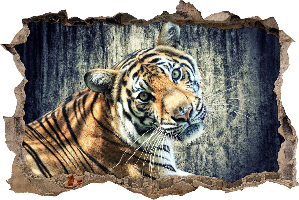 Pixxprint Neugieriger Tiger, 3D Wandtattoo