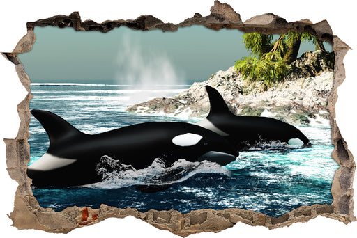 Orcas vor Insel  3D Wandtattoo Wanddurchbruch