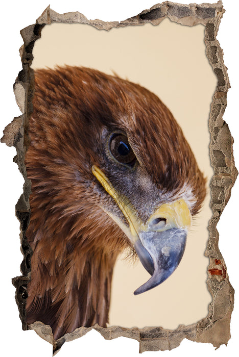 Pixxprint Adler Porträt, 3D Wandtattoo
