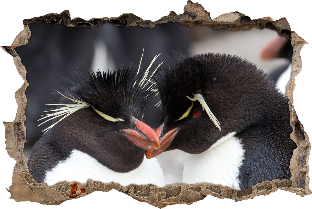 Pixxprint Pinguin Kuss, 3D Wandtattoo