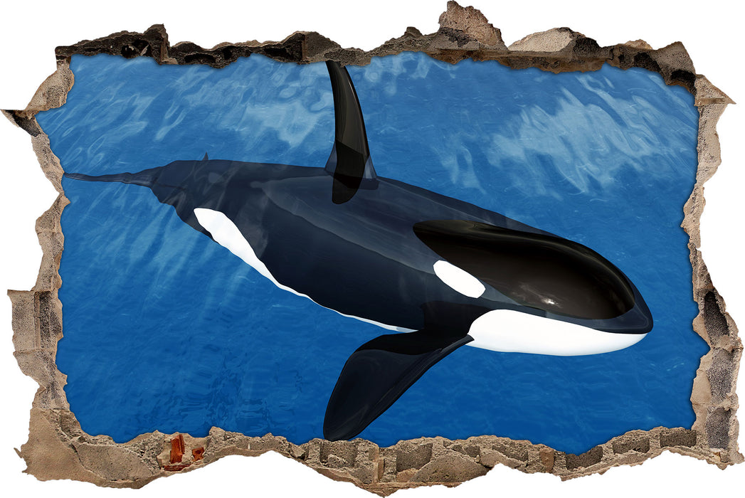 Pixxprint Orca im blauen Meer, 3D Wandtattoo