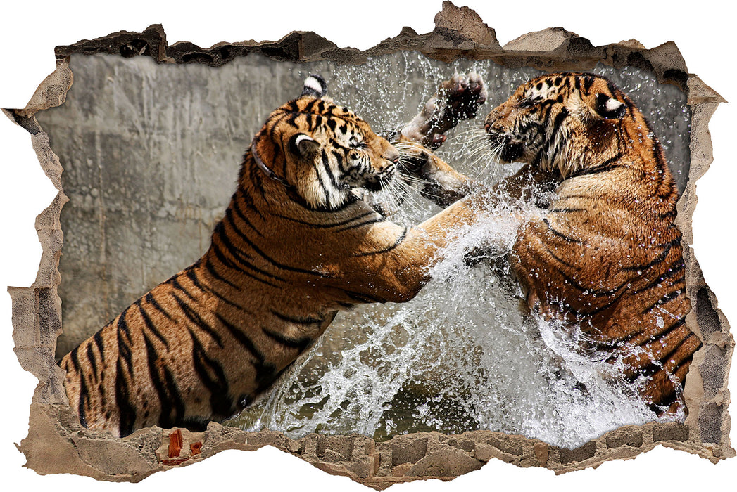 Pixxprint Kämpfende Tiger im Wasser, 3D Wandtattoo