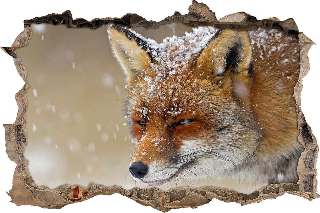 Pixxprint Fuchs im Schnee, 3D Wandtattoo