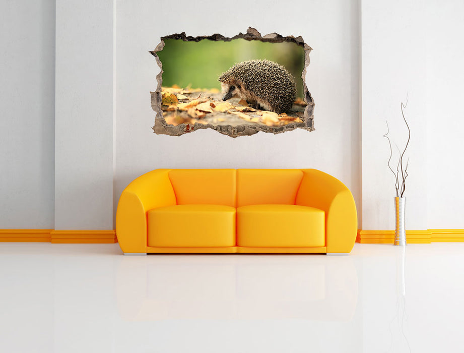 Igel im Laub 3D Wandtattoo Wanddurchbruch Wand