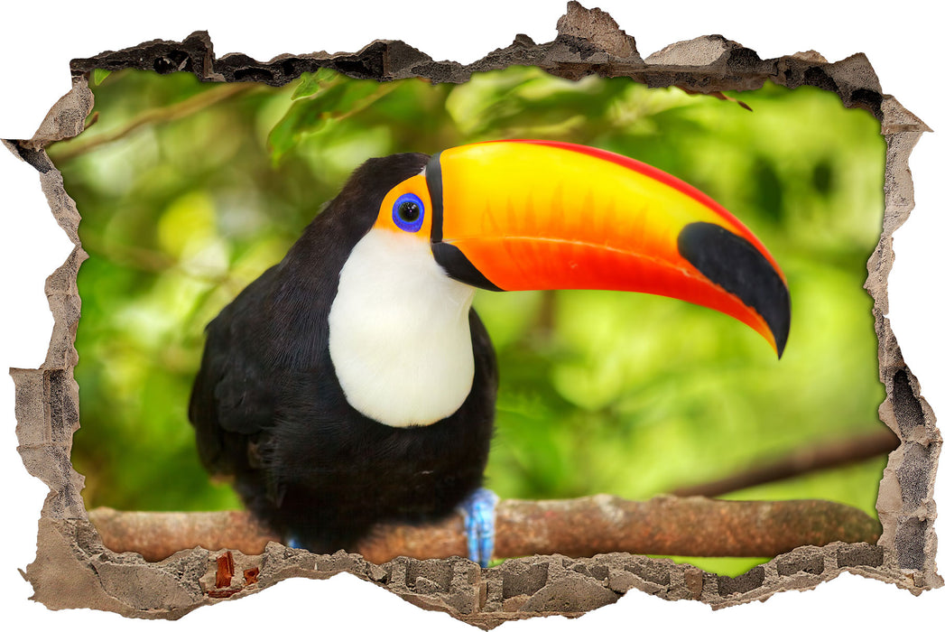 Pixxprint Exotischer Tukan, 3D Wandtattoo