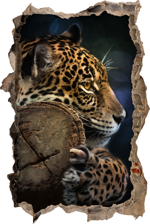 Wunderschöner Leopard  3D Wandtattoo Wanddurchbruch