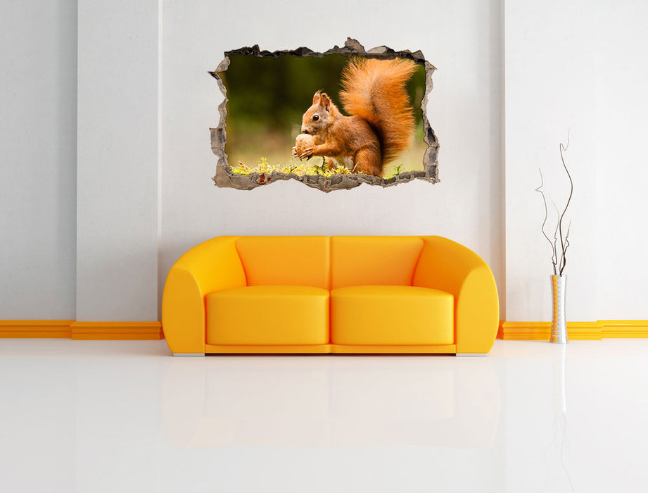 Eichhörnchen mit Nuss 3D Wandtattoo Wanddurchbruch Wand