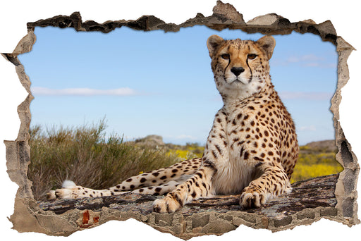 Gepard in Savanne 3D Wandtattoo Wanddurchbruch