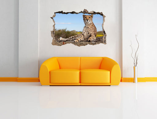 Gepard in Savanne 3D Wandtattoo Wanddurchbruch Wand