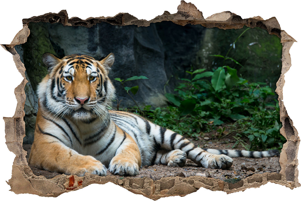 Pixxprint Liegender Tiger, 3D Wandtattoo