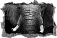 Elefant Porträt  3D Wandtattoo Wanddurchbruch