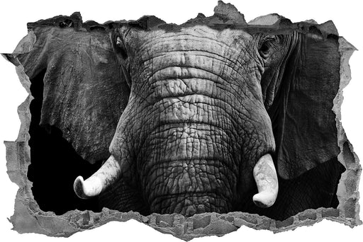 Elefant Porträt  3D Wandtattoo Wanddurchbruch