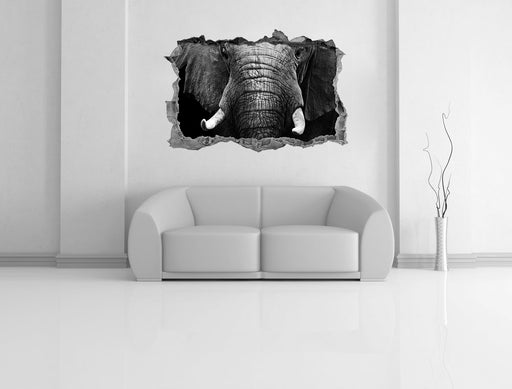 Elefant Porträt 3D Wandtattoo Wanddurchbruch Wand