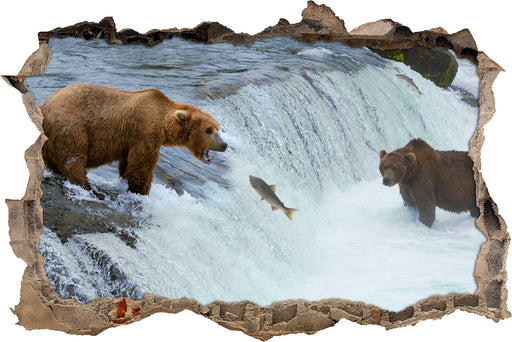 Bären fangen Lachs  3D Wandtattoo Wanddurchbruch