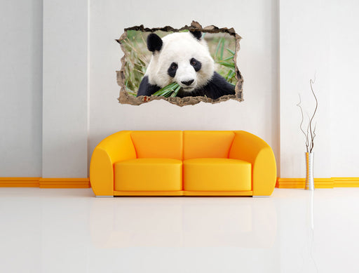 Pandabär frisst Bambus 3D Wandtattoo Wanddurchbruch Wand