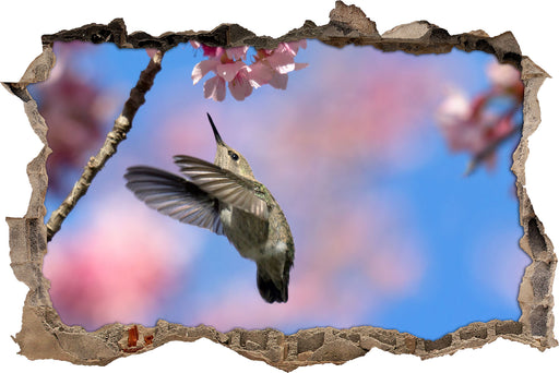 Kolibri an Kirschblüte  3D Wandtattoo Wanddurchbruch