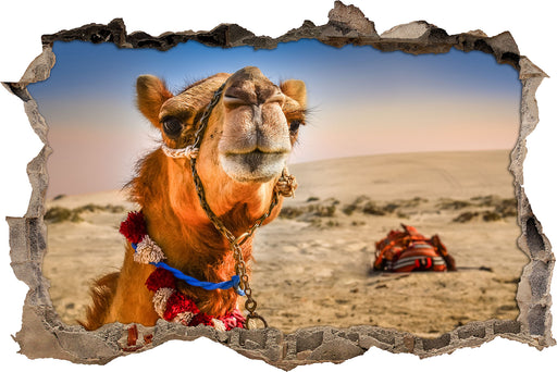 Lustiges Kamel in Wüste  3D Wandtattoo Wanddurchbruch
