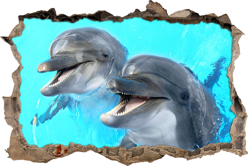 Delfinpaar  3D Wandtattoo Wanddurchbruch