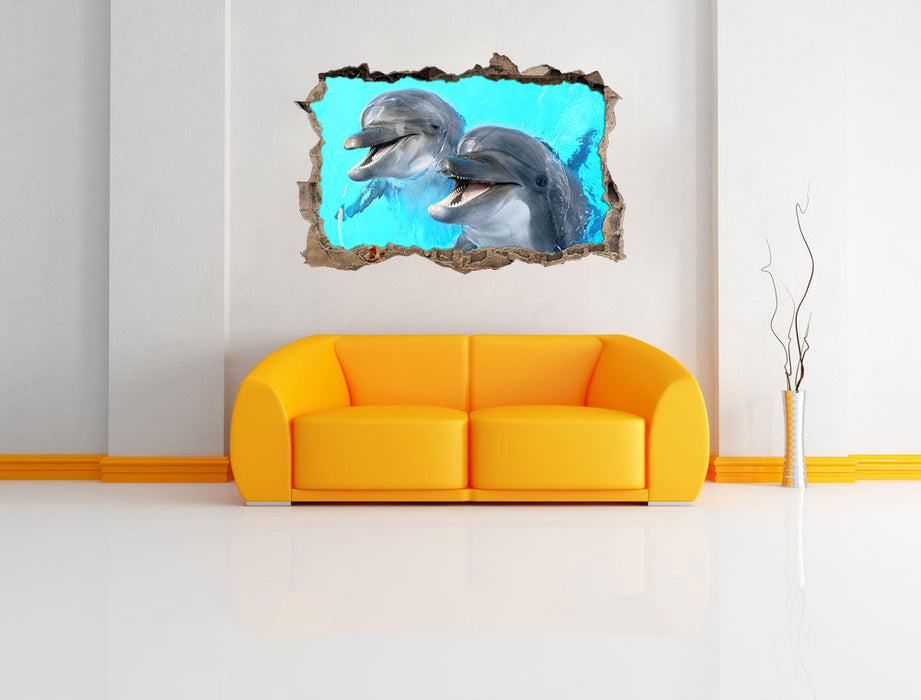Delfinpaar 3D Wandtattoo Wanddurchbruch Wand